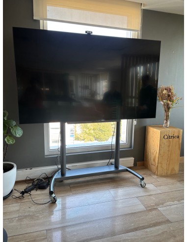 Pedestal lcd led 65" A 90" 2P-6590