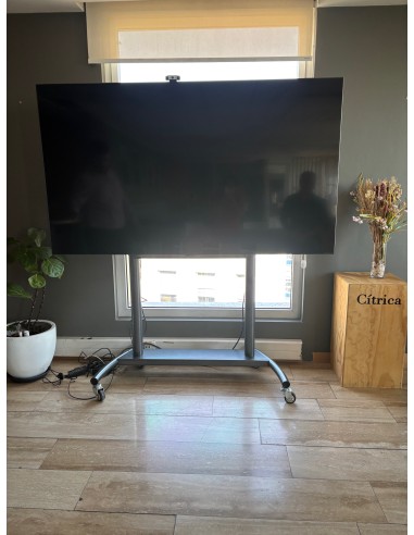 Pedestal lcd led 65" A 90" 2P-6590